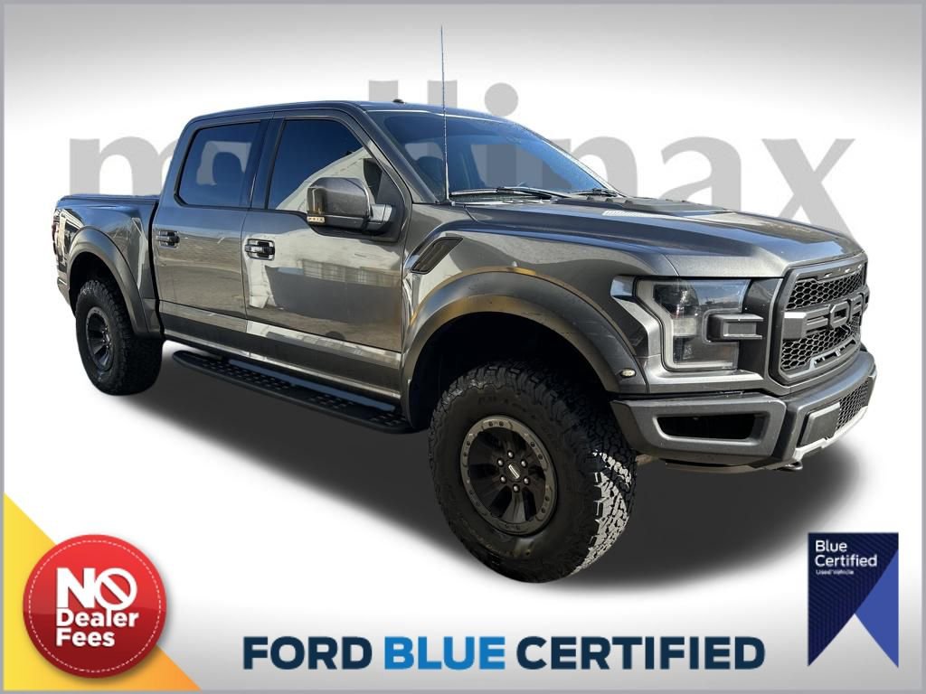 Used 2018 Ford F150 Raptor w/ Equipment Group 802A Luxury