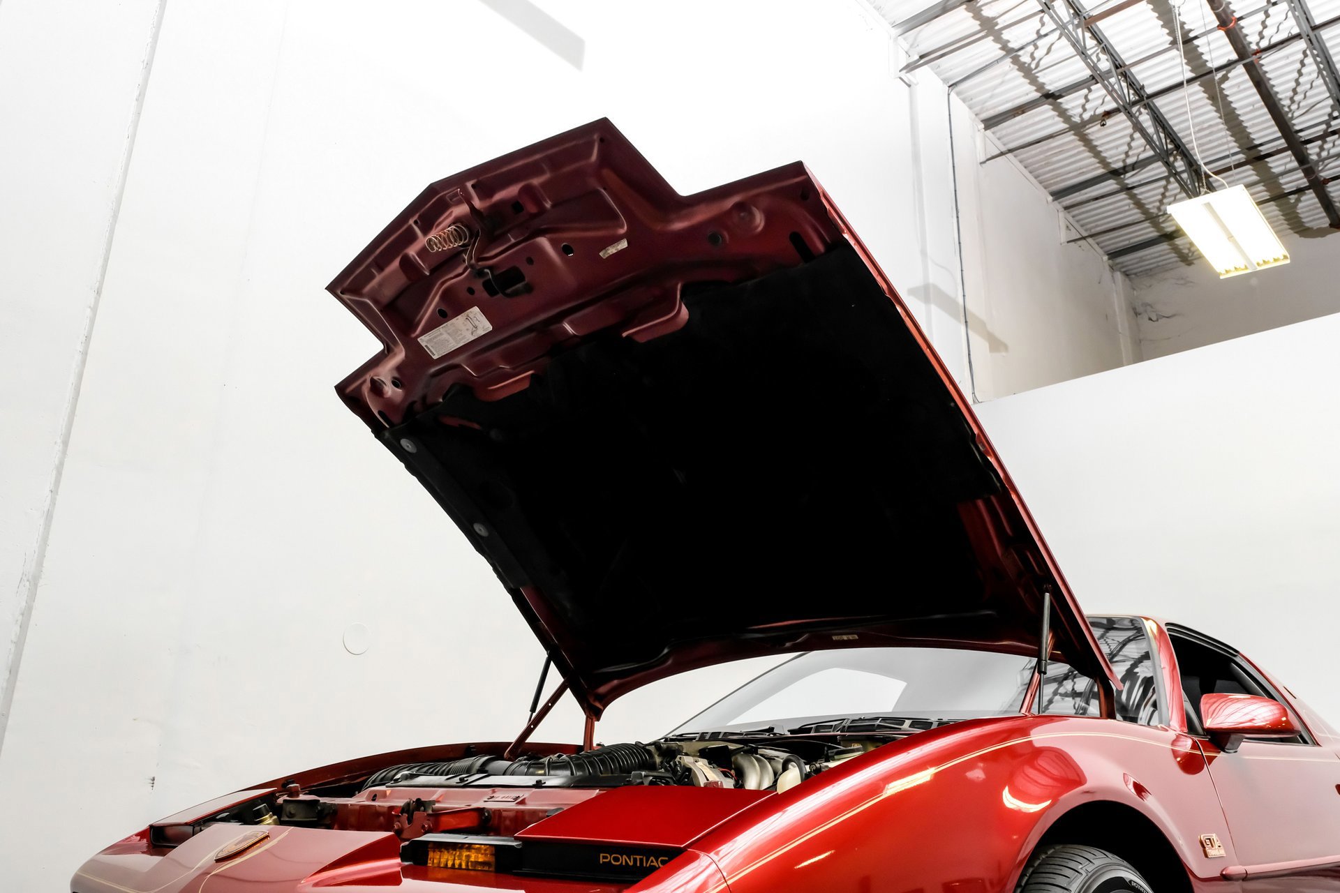 Used 1988 Pontiac Firebird Trans Am image 38