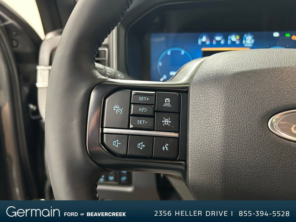 New 2026 Ford F250 Platinum image 20