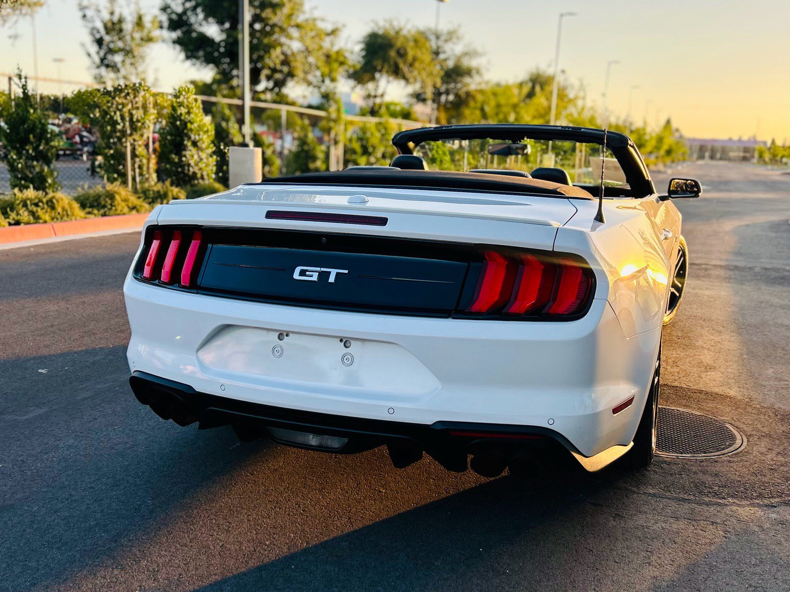 Used 2019 Ford Mustang GT Premium RWD image 8