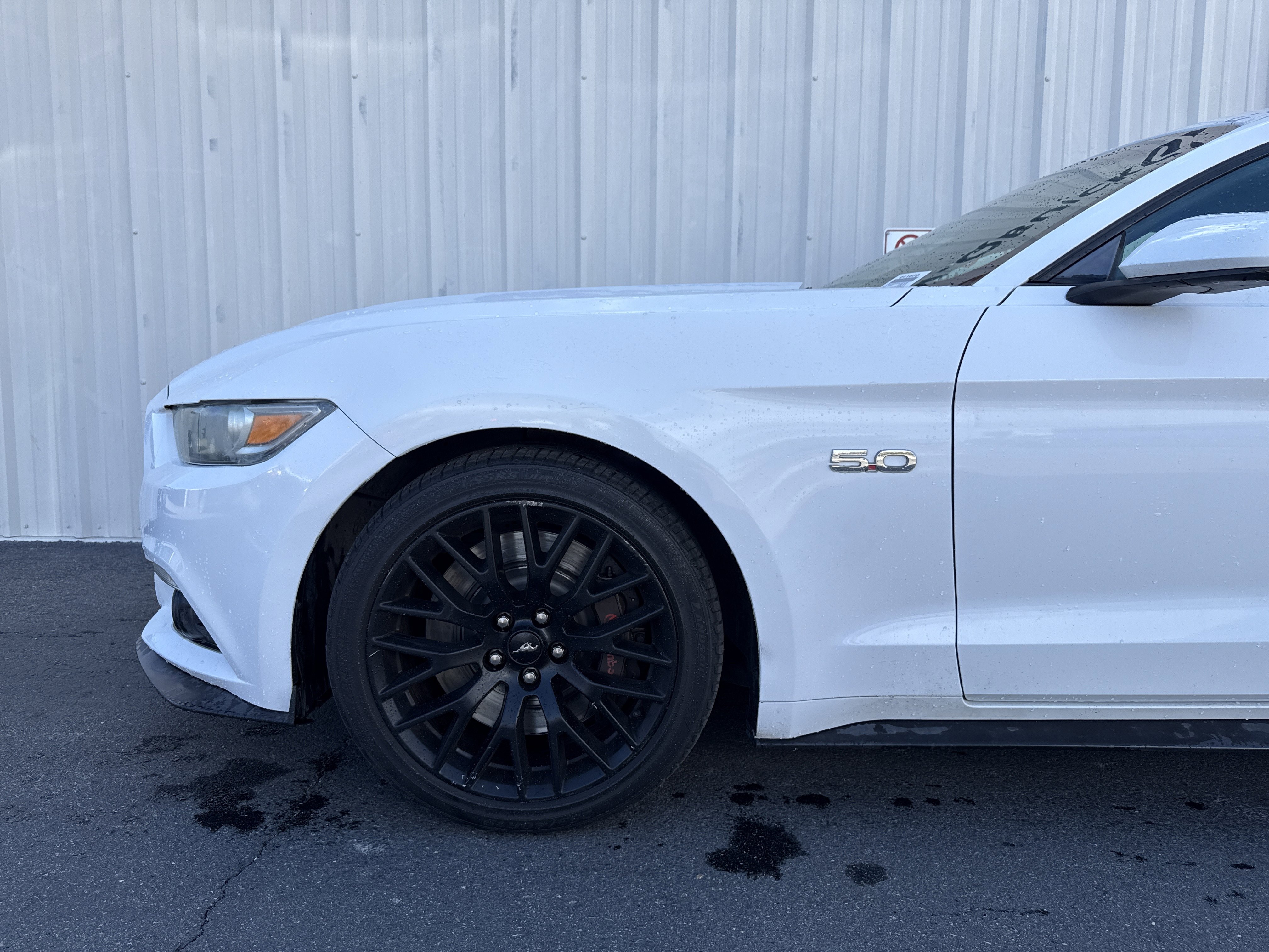 Used 2015 Ford Mustang GT w/ GT Performance Package image 3