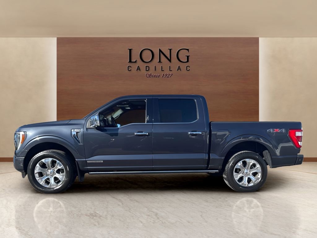 Used 2021 Ford F150 Platinum w/ Equipment Group 701A High image 2