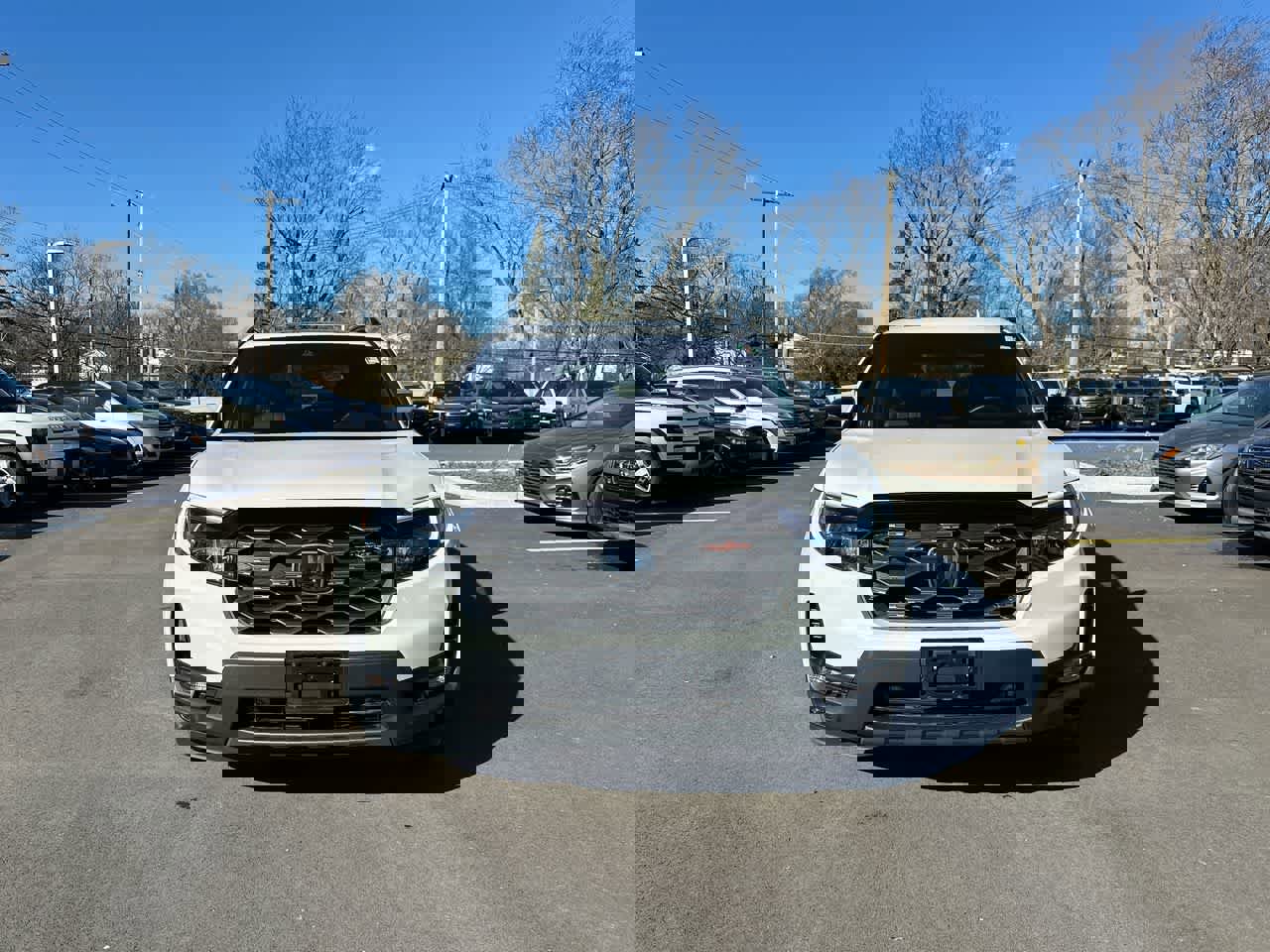 Used 2023 Honda Passport TrailSport image 16