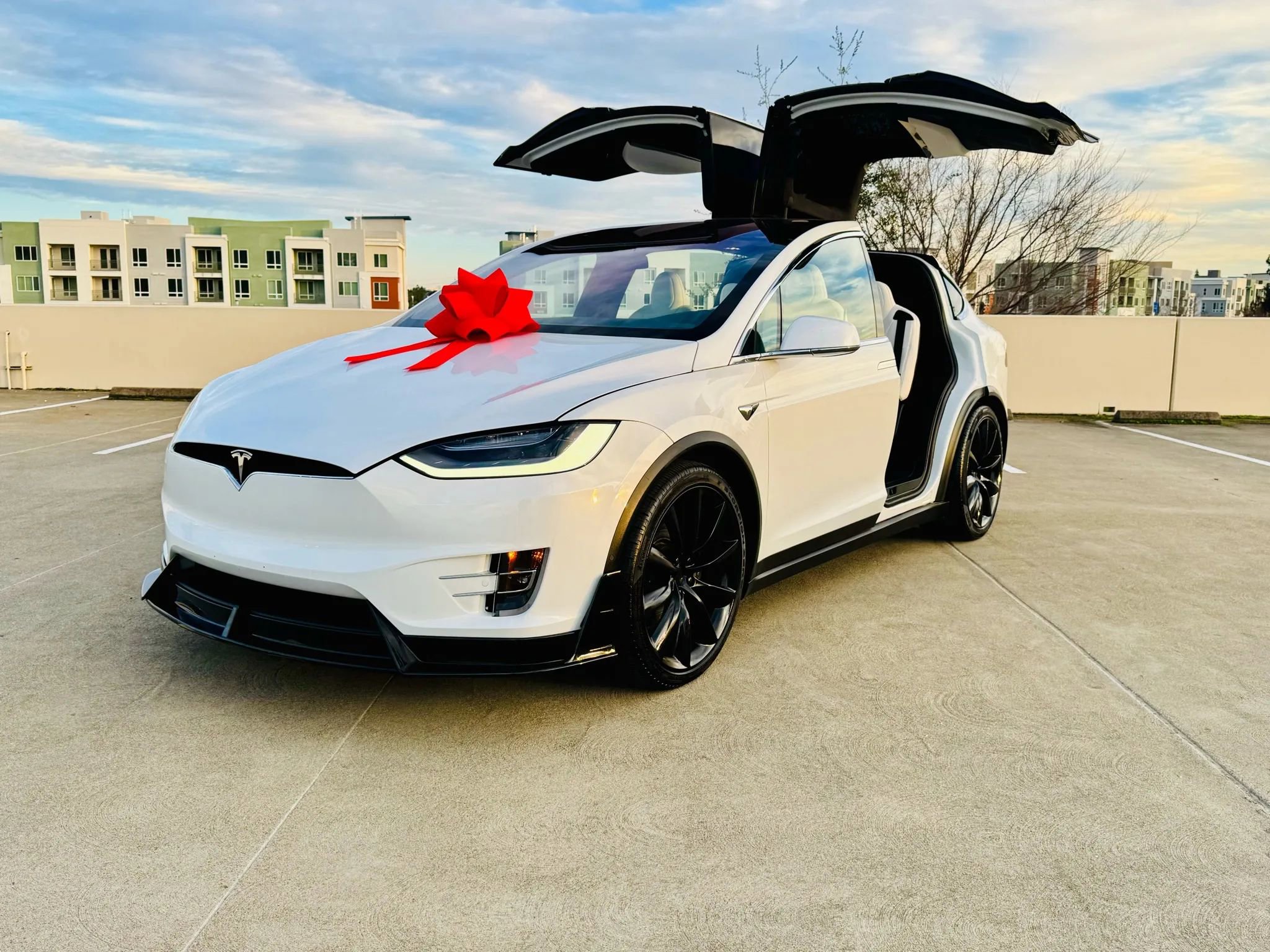 Used 2020 Tesla Model X Long Range image 2