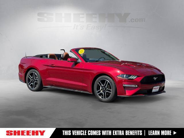 Certified 2019 Ford Mustang Premium