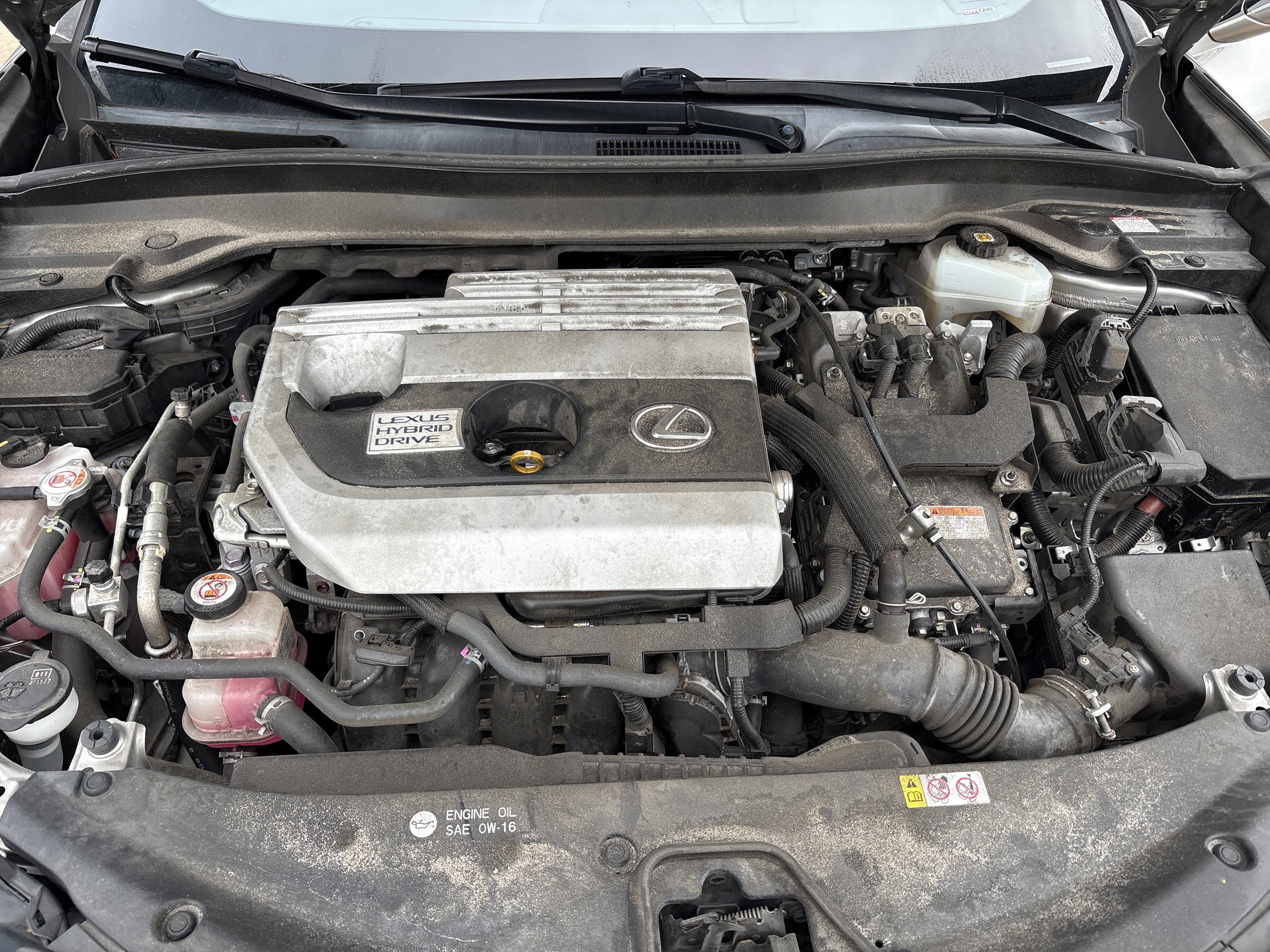 Used 2020 Lexus UX 250h w/ Premium Package image 34