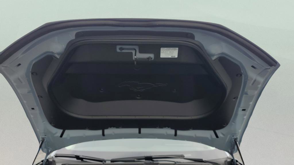 New 2025 Ford Mustang Mach-E Select image 14
