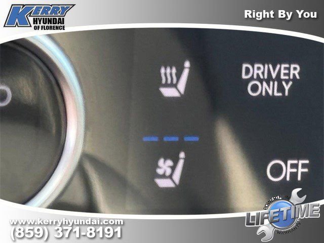 New 2026 Hyundai Ioniq 9 Limited image 11