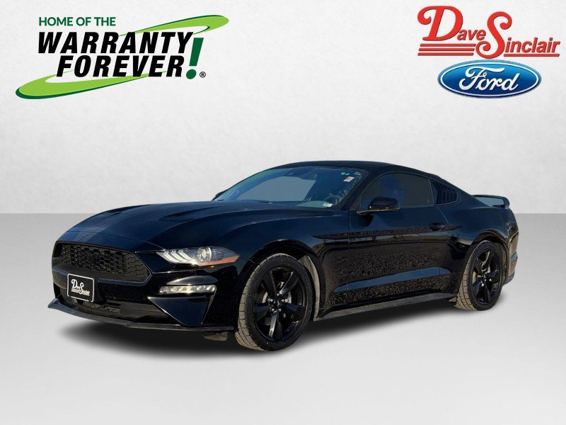 Used 2023 Ford Mustang Premium w/ Equipment Group 201A image 1