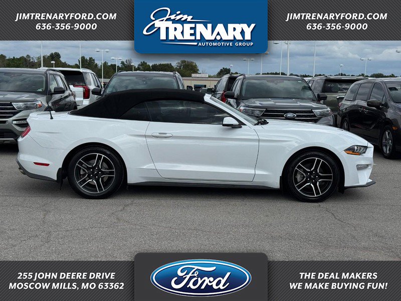 Used 2019 Ford Mustang Premium RWD image 1