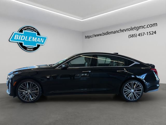 Used 2024 Cadillac CT5 Premium Luxury image 4