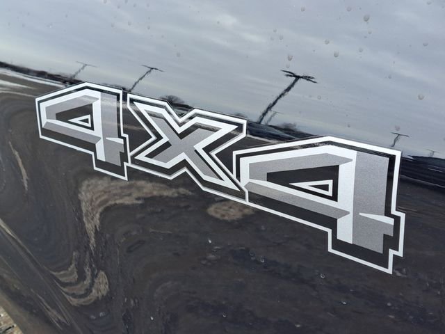 New 2026 Ford F150 XLT w/ Equipment Group 302A MID image 28