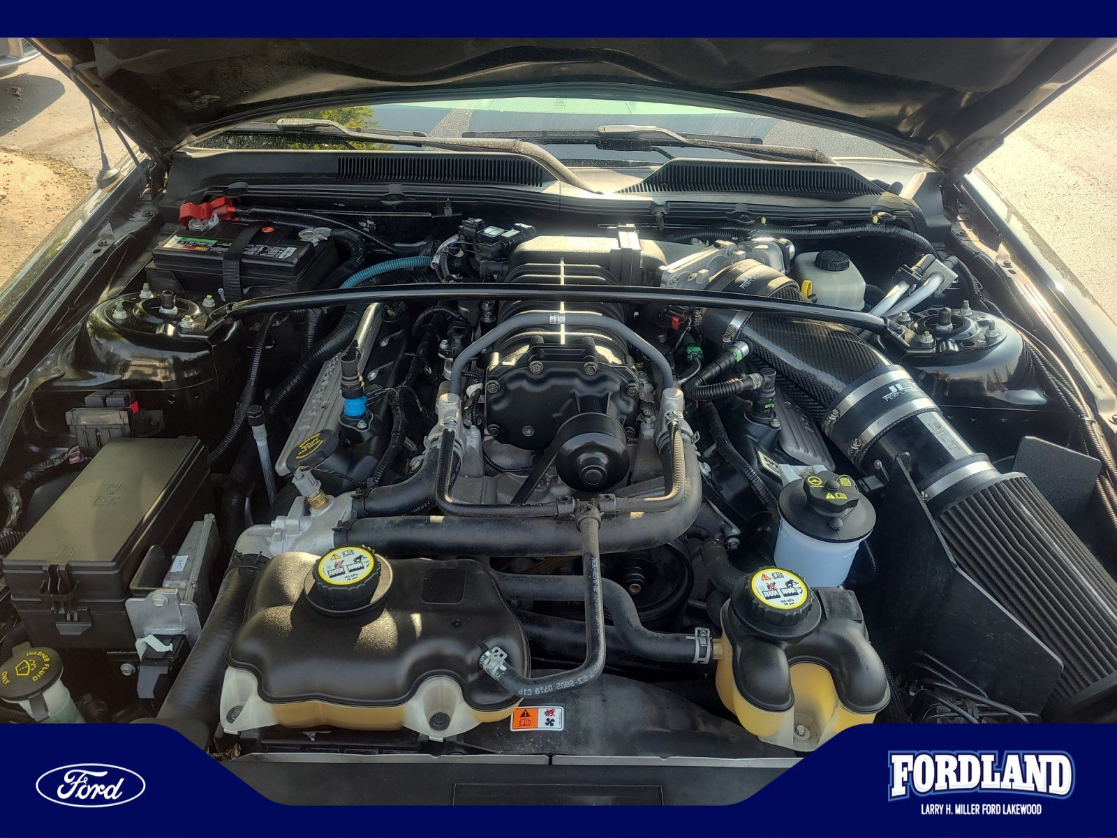 Used 2008 Ford Mustang Shelby GT500 RWD image 21