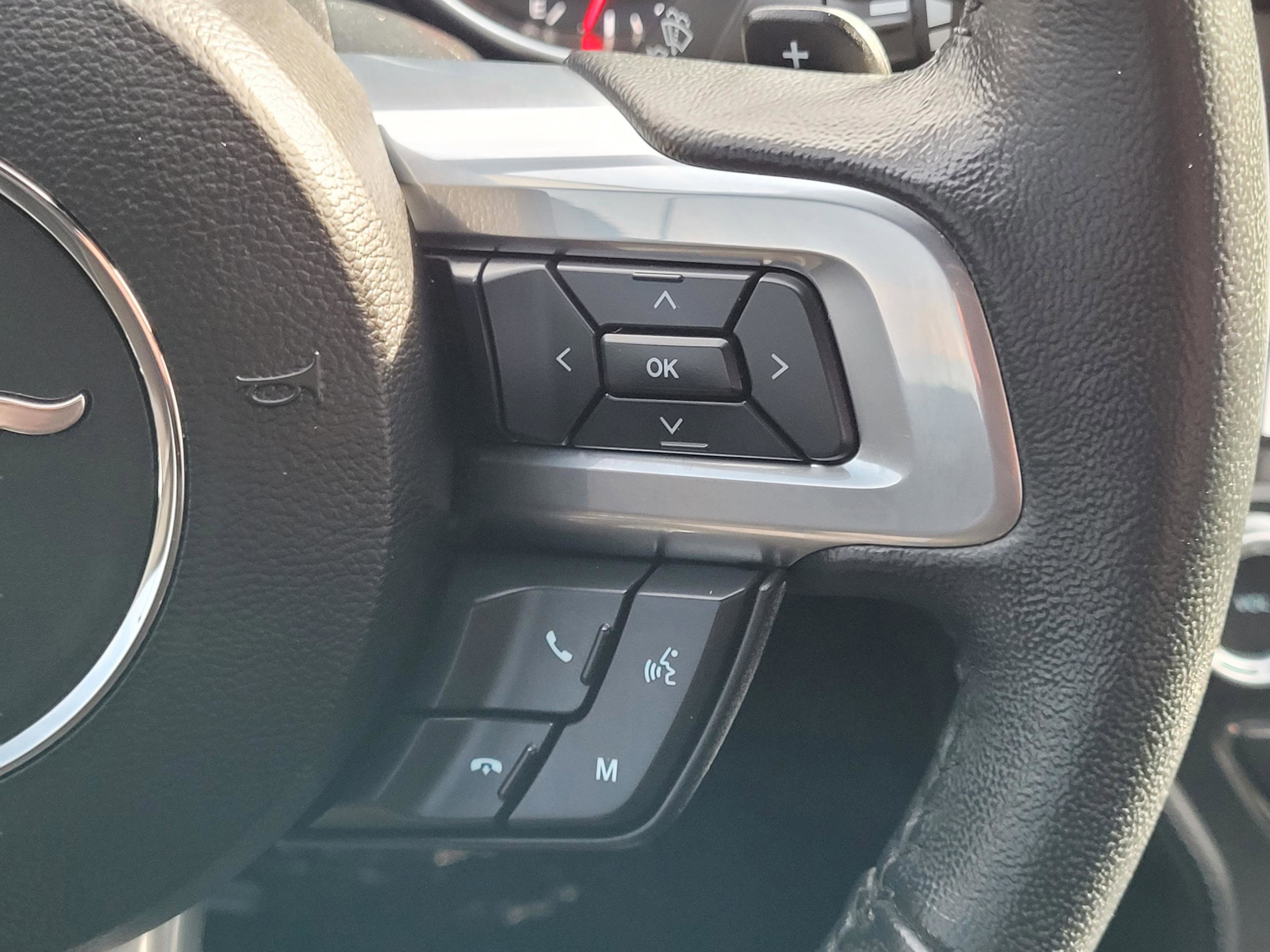 Certified 2021 Ford Mustang EcoBoost w/ Equipment Group 101A image 13