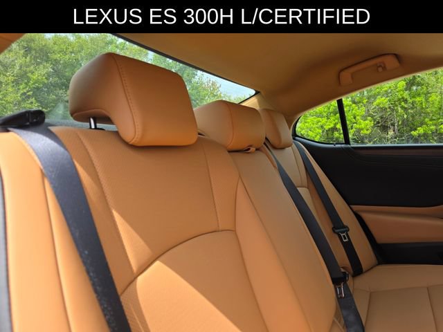 Used 2025 Lexus ES 300h w/ Premium Package FWD image 14
