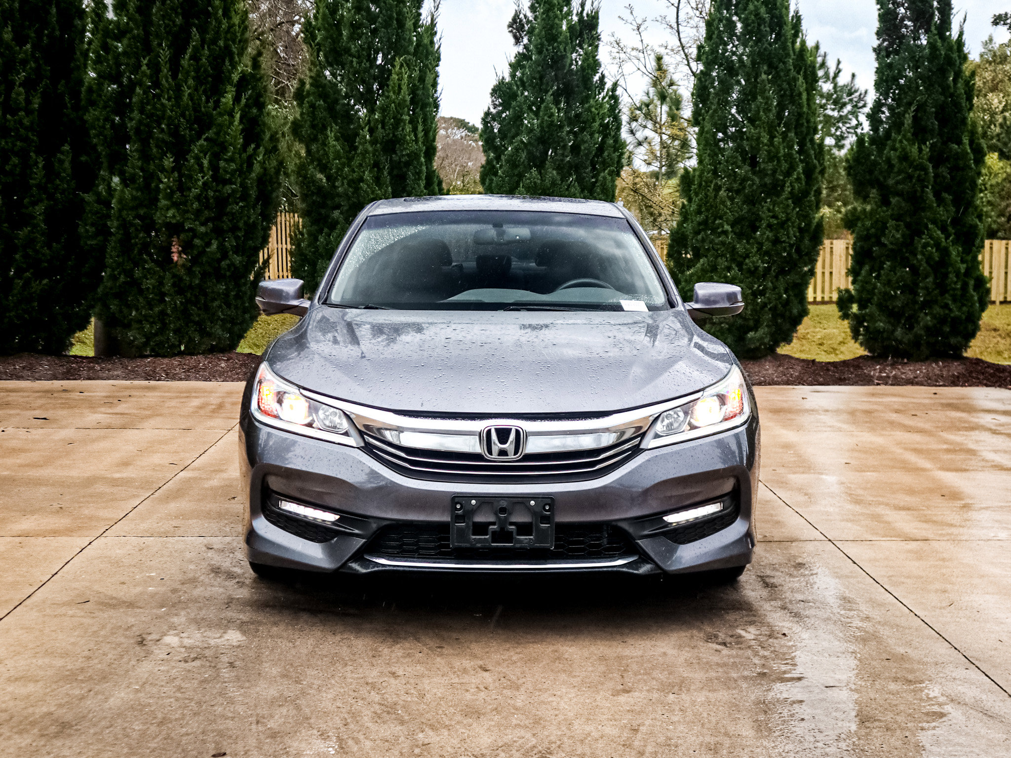 Used 2017 Honda Accord EX-L image 3