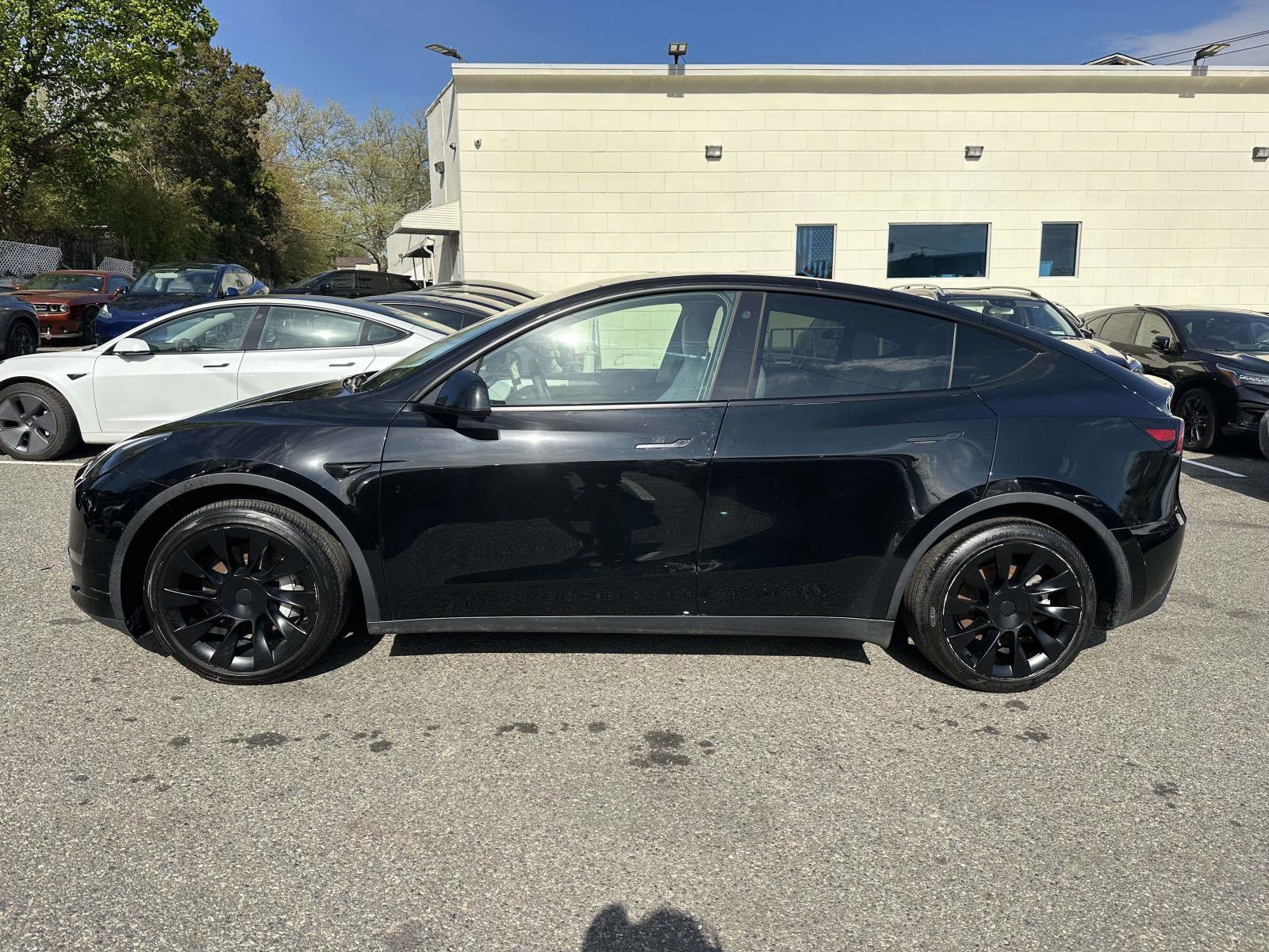 Used 2023 Tesla Model Y Long Range AWD/4WD image 6