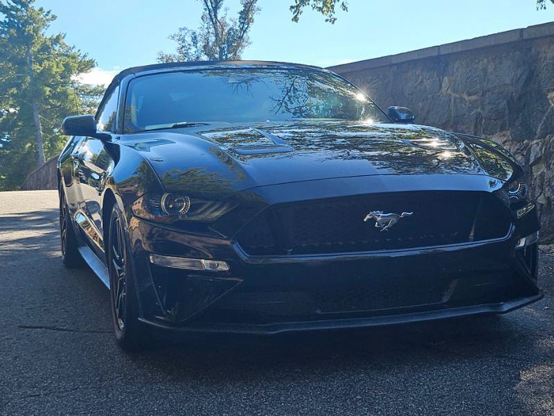 Used 2018 Ford Mustang GT Premium w/ Equipment Group 401A RWD image 10