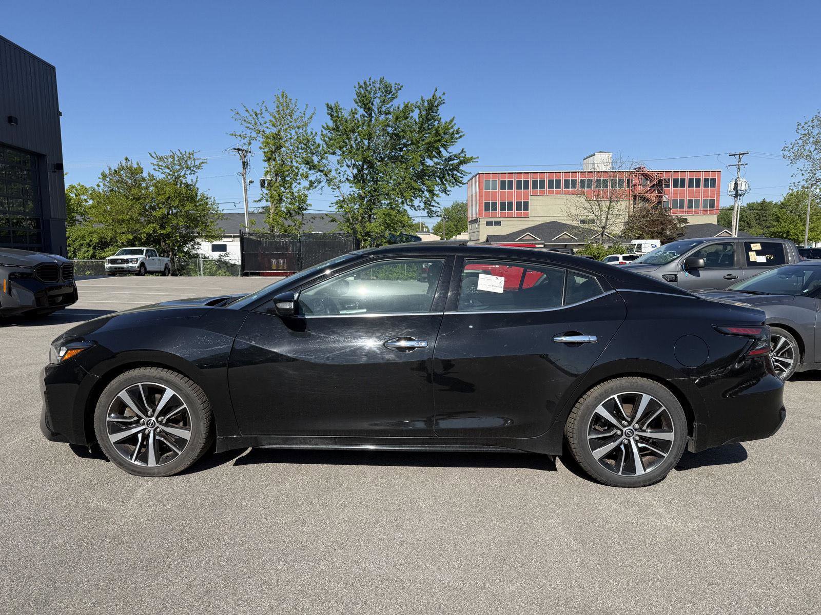 Used 2023 Nissan Maxima SL FWD image 4