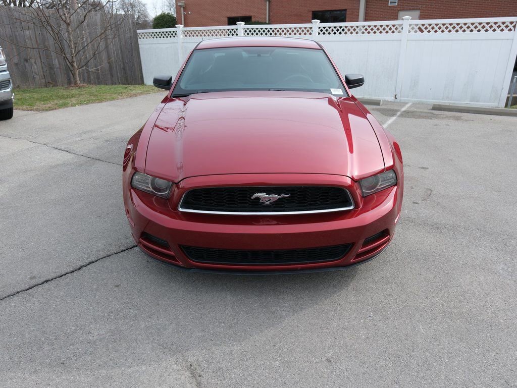 Used 2014 Ford Mustang Coupe image 12