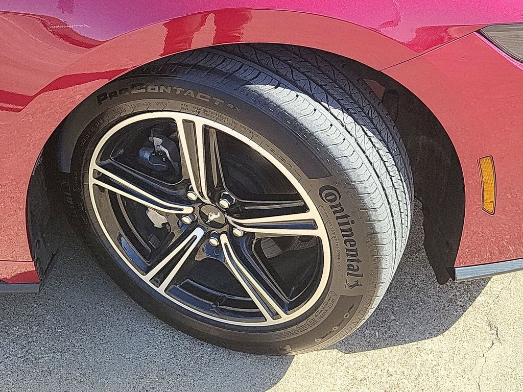 Used 2025 Ford Mustang EcoBoost image 29