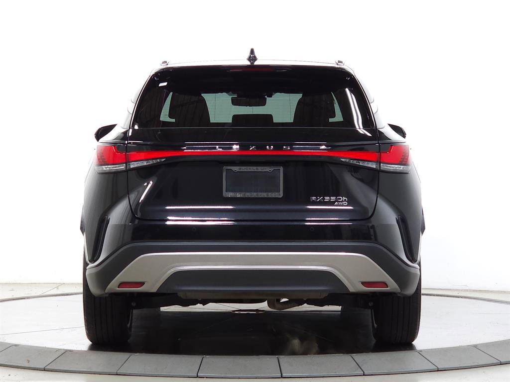 Certified 2024 Lexus RX 350 image 6