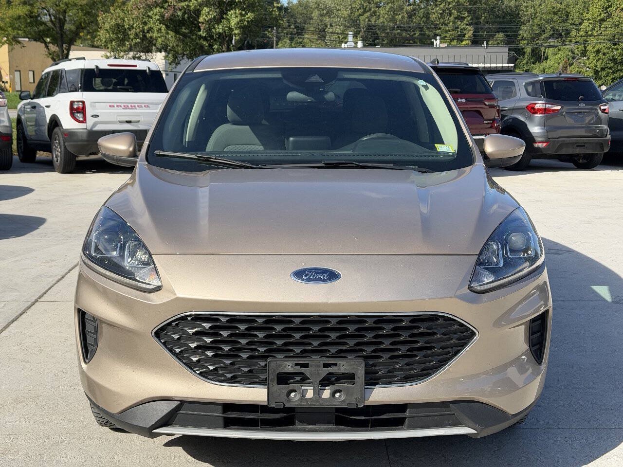 Used 2020 Ford Escape SE AWD/4WD image 2