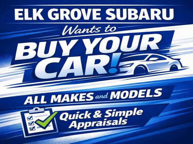 Used 2024 Lexus NX 350h AWD w/ Vision Package image 5