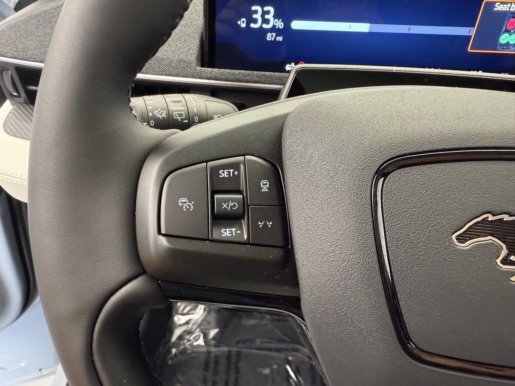 New 2025 Ford Mustang Mach-E Premium w/ Interior Protection Package image 46