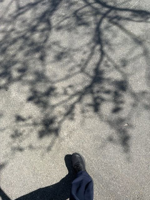 Used 2014 Nissan Murano SL