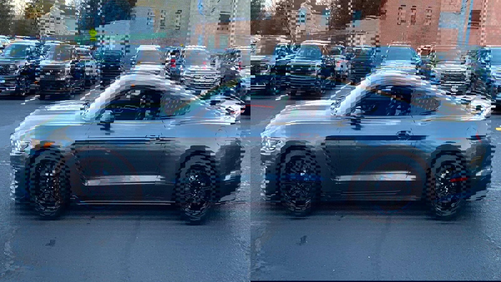 Used 2020 Ford Mustang Shelby GT350 w/ Technology Package image 5