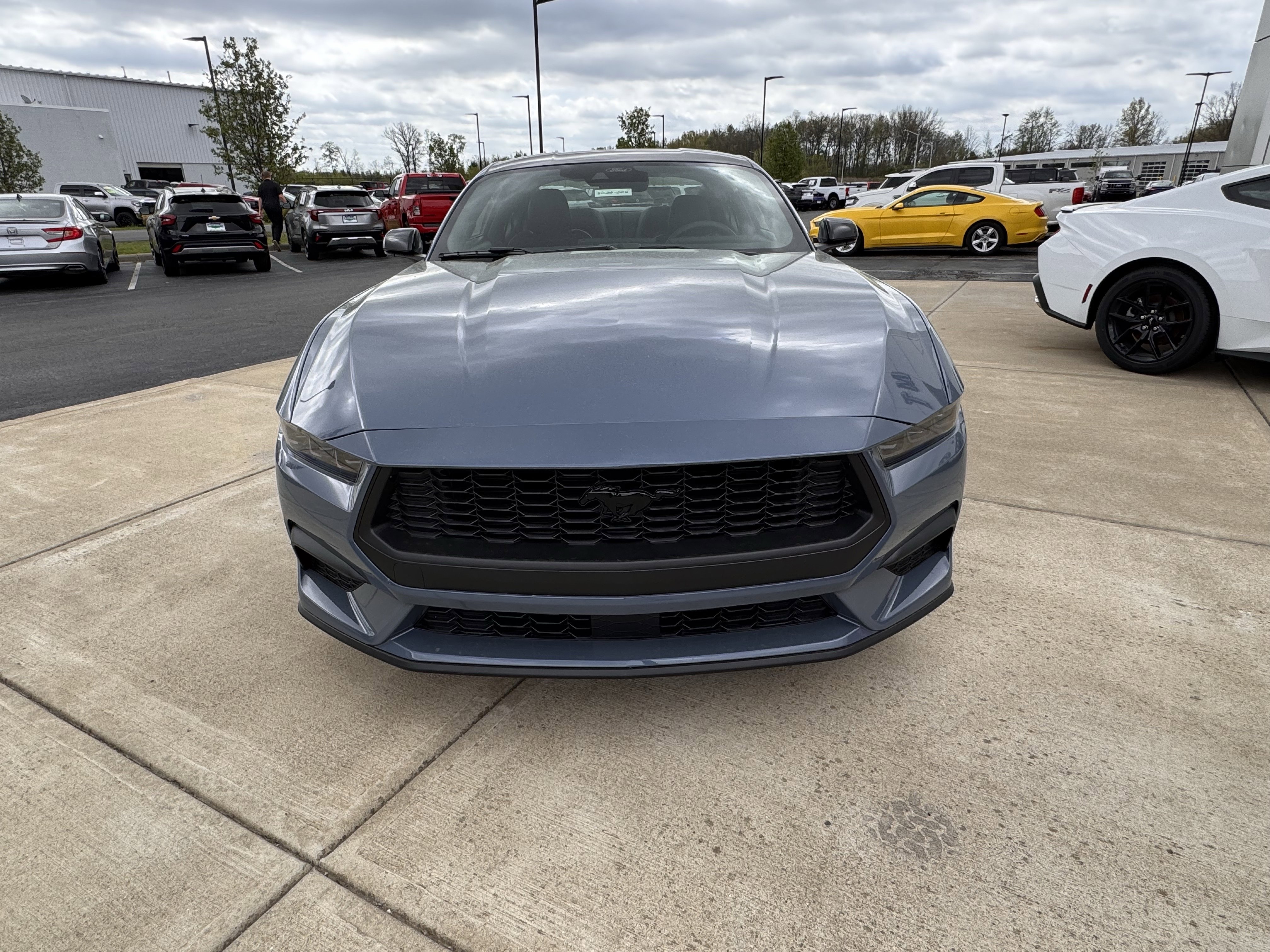 New 2026 Ford Mustang Coupe image 6