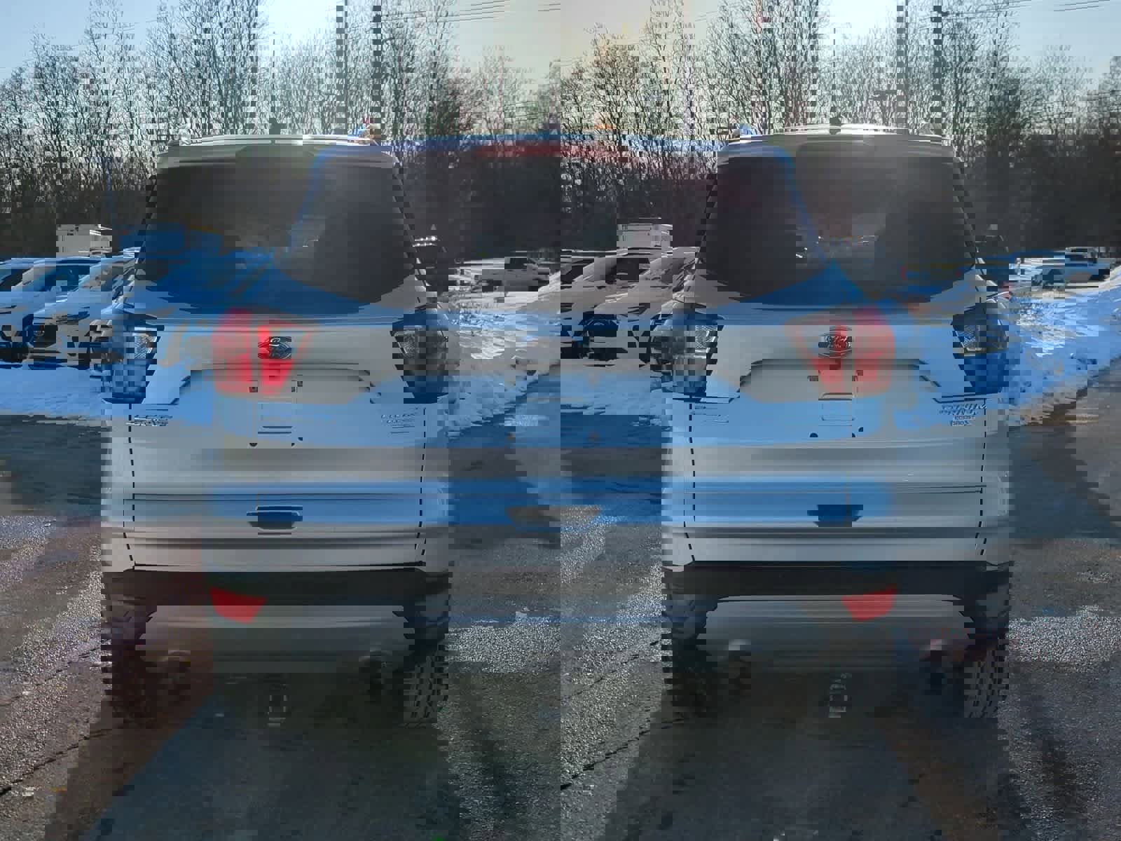 Used 2019 Ford Escape Titanium image 7