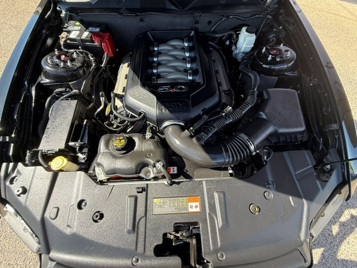 Used 2014 Ford Mustang GT w/ Equipment Group 301A RWD image 22