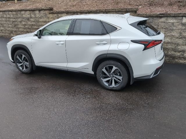 Used 2019 Lexus NX 300h AWD w/ Premium Package image 7