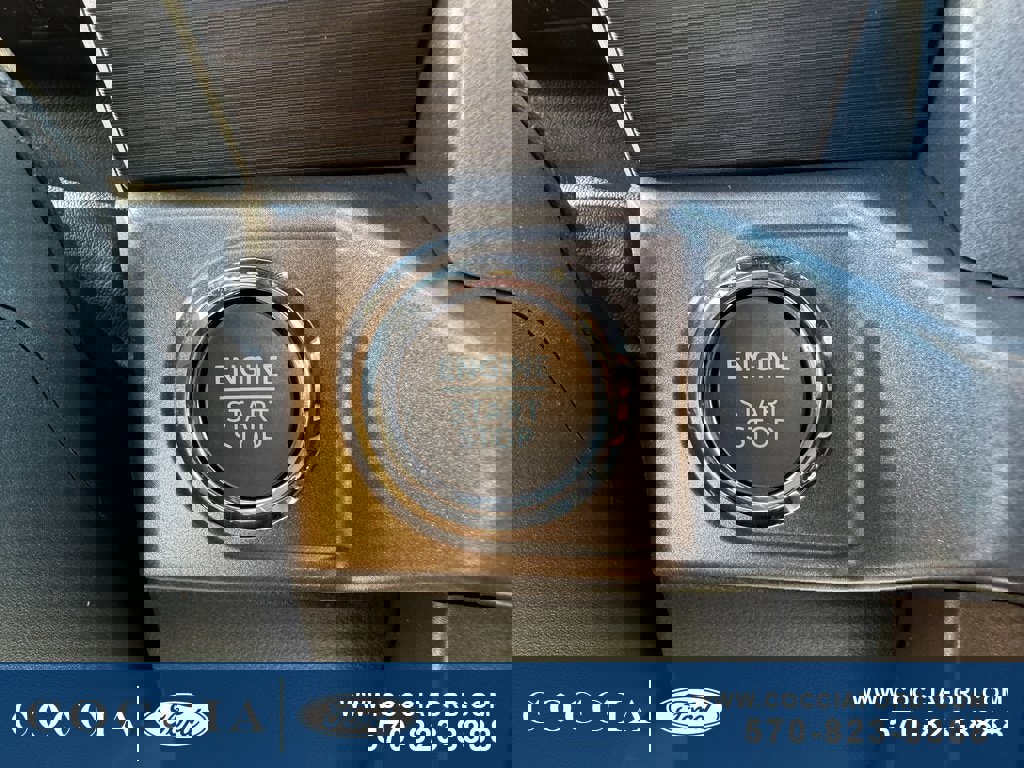 New 2025 Ford F150 XLT w/ Equipment Group 302A MID image 47