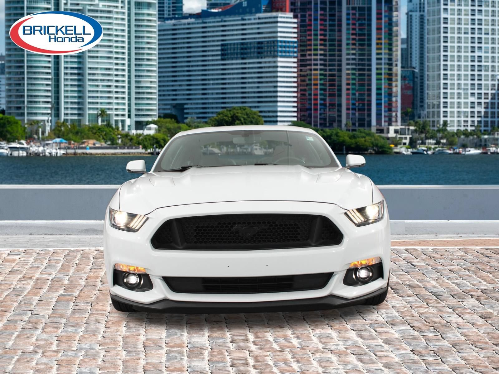 Used 2016 Ford Mustang GT Premium w/ Equipment Group 401A RWD image 7