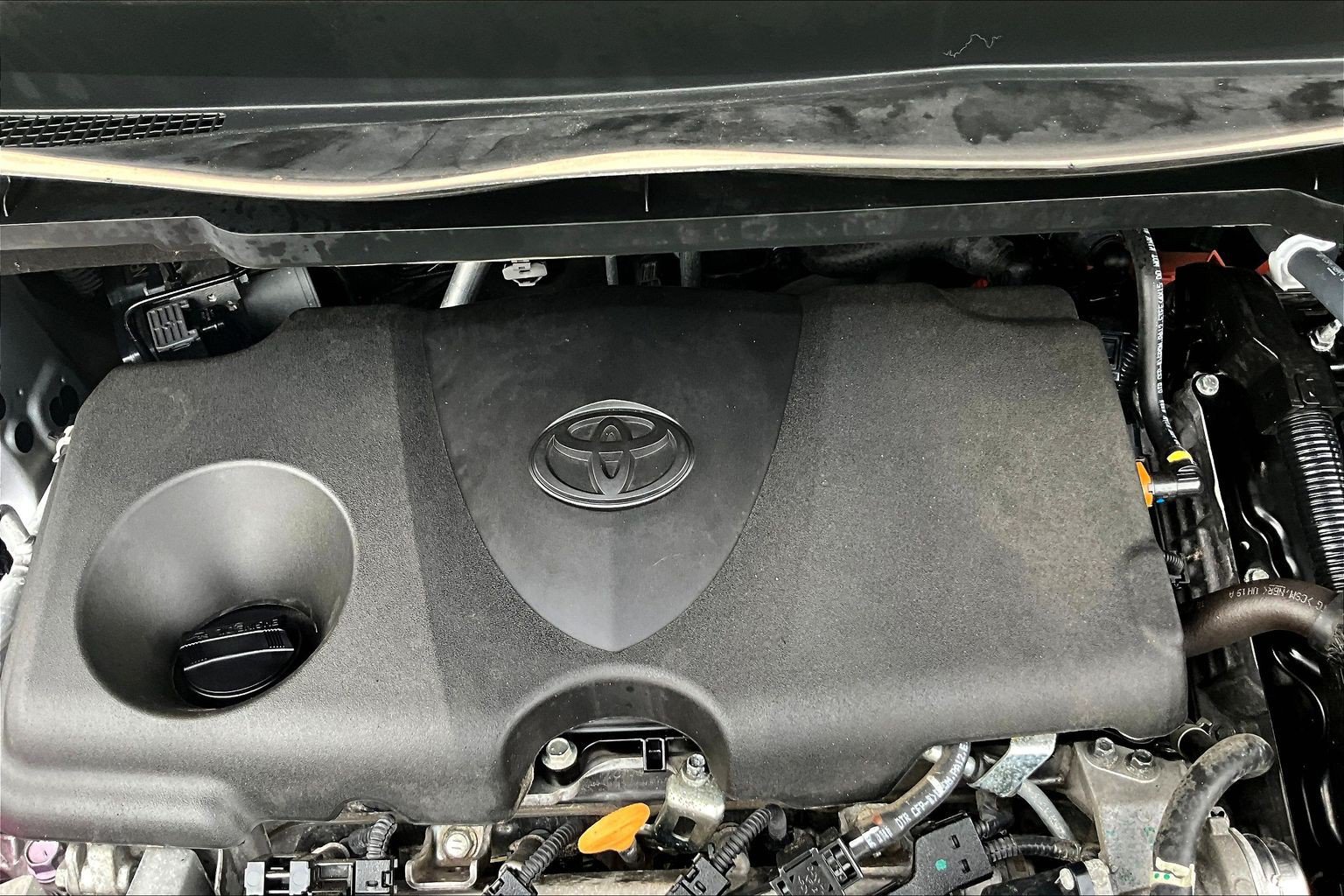 Used 2025 Toyota Sienna XLE FWD image 35
