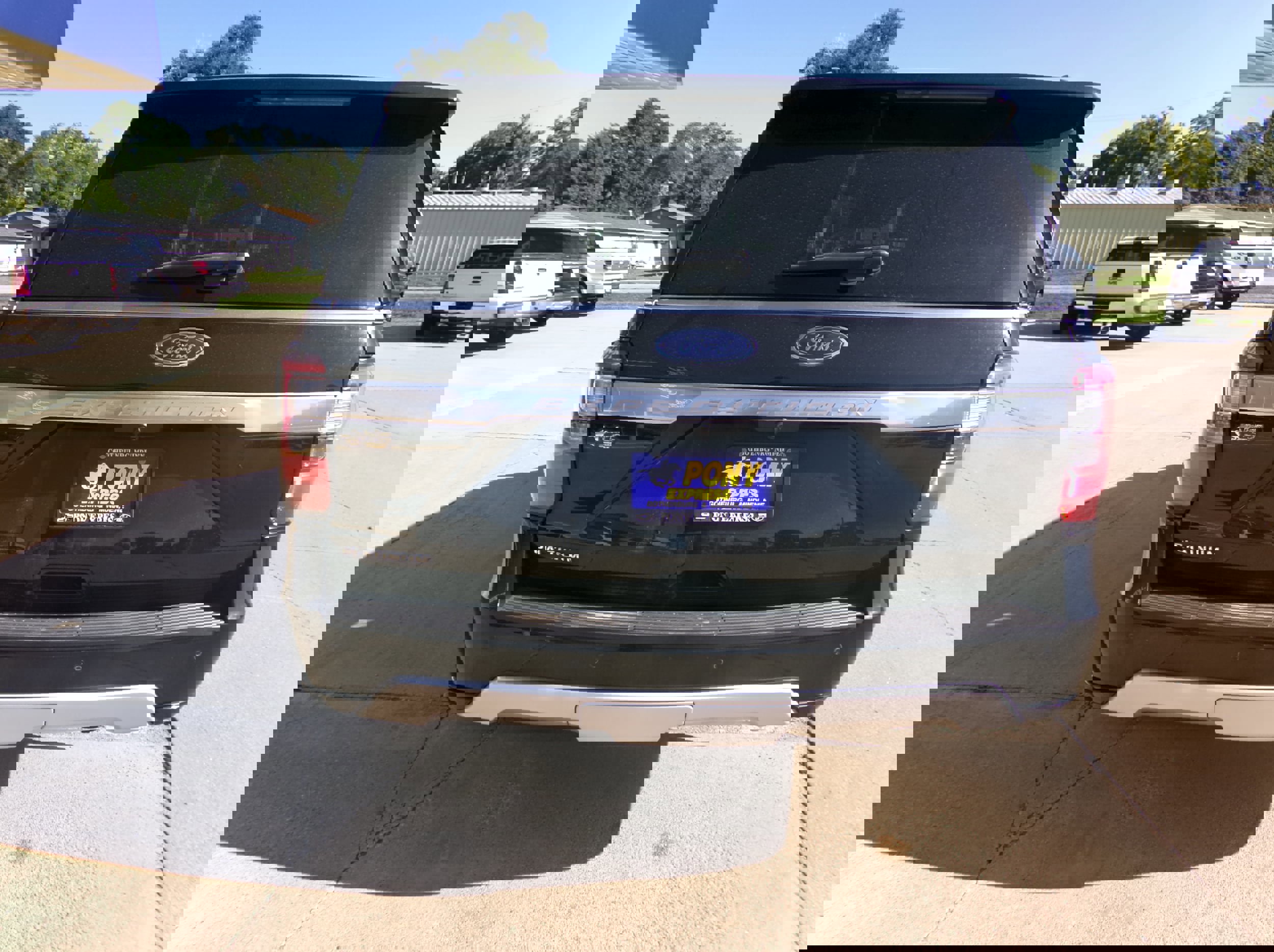 Used 2020 Ford Expedition Platinum image 4