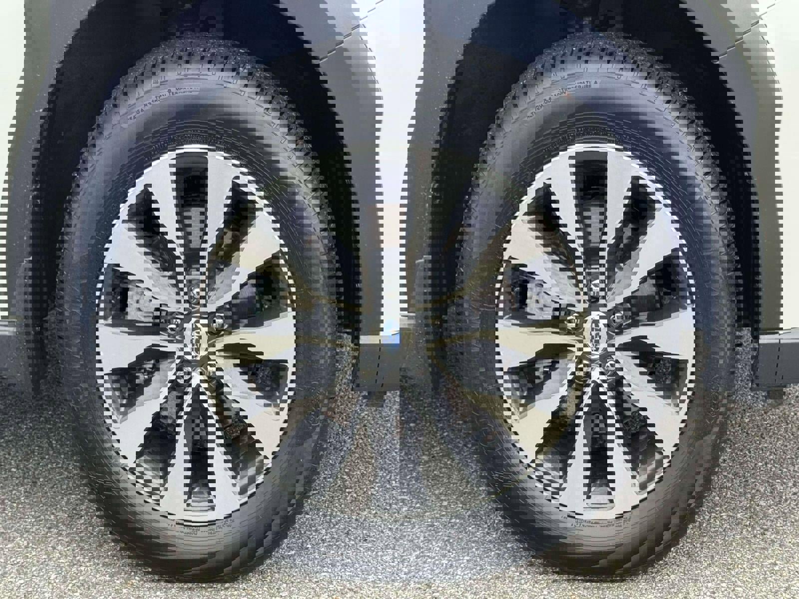 Used 2024 Subaru Outback Touring XT image 6