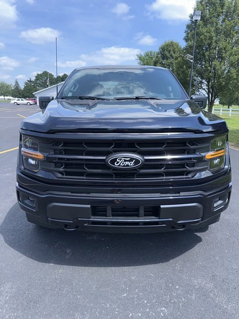 New 2025 Ford F150 XLT w/ Equipment Group 301A Standard image 16