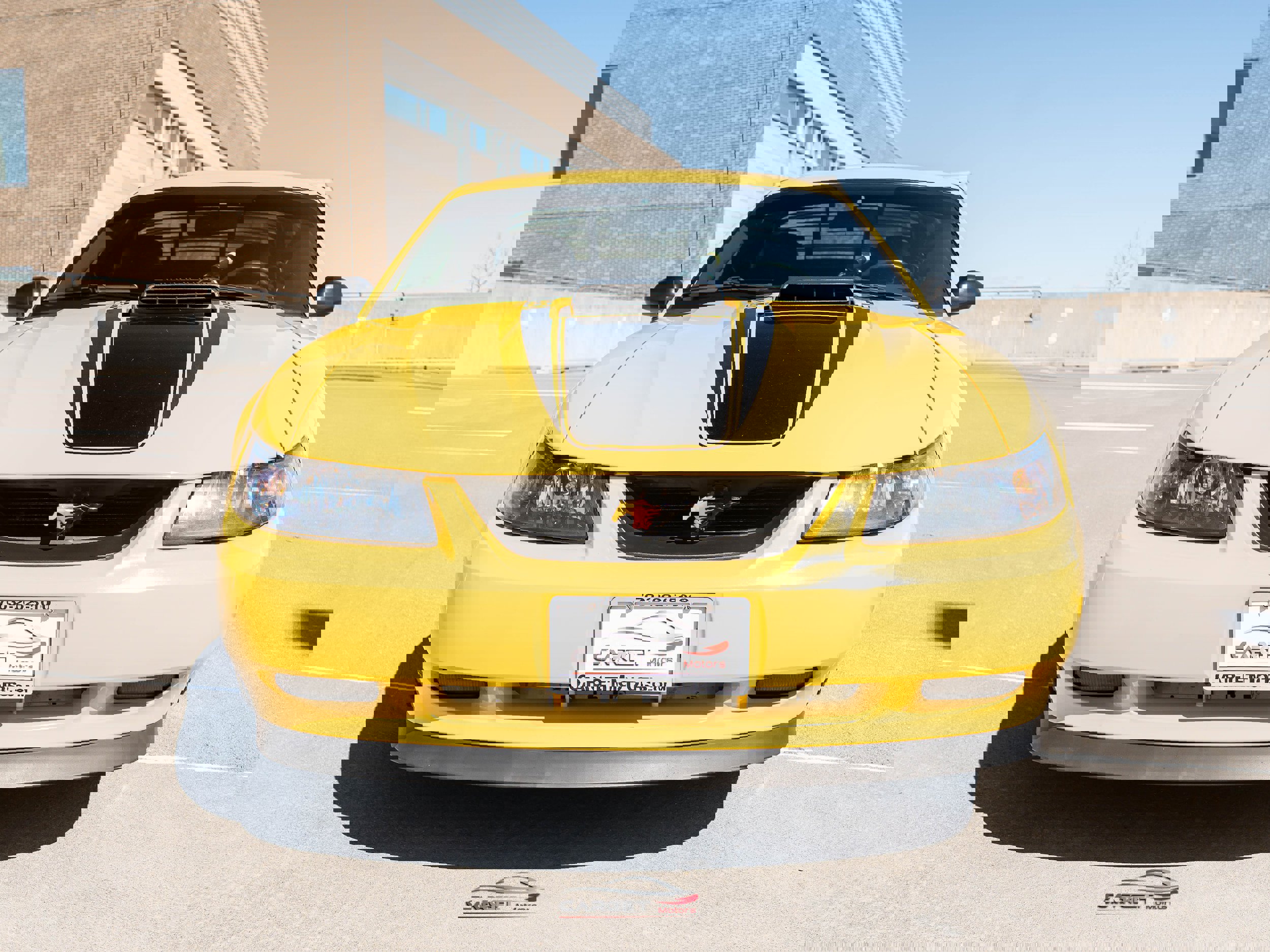 Used 2004 Ford Mustang Mach 1 image 2