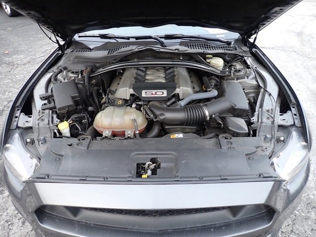 Used 2015 Ford Mustang GT Premium image 13