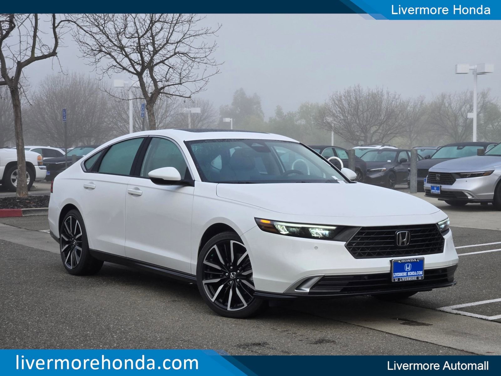 New 2026 Honda Accord Touring