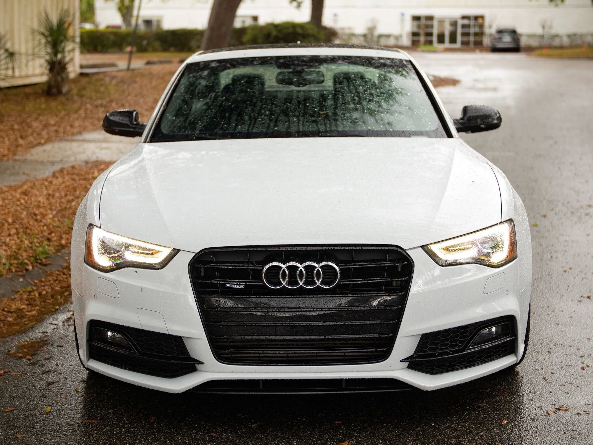 Used 2017 Audi A5 2.0T Sport w/ Technology Package image 4