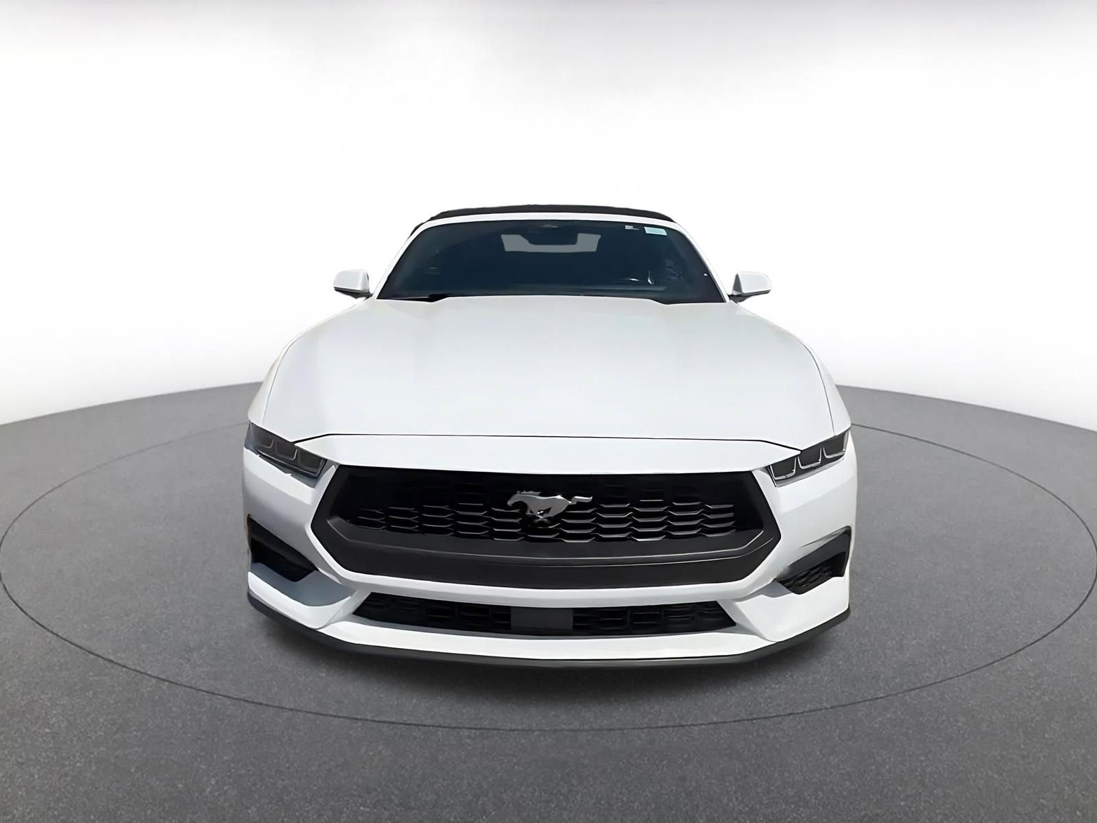 Used 2024 Ford Mustang Premium image 4