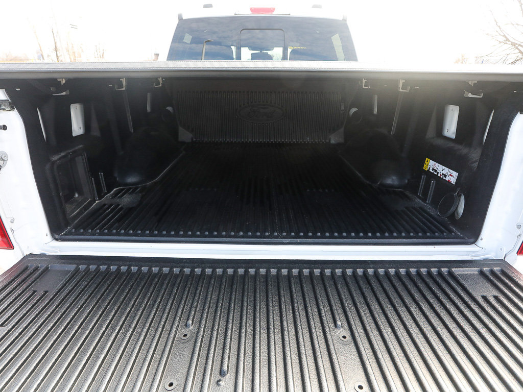 Used 2023 Ford F150 XLT w/ Equipment Group 302A High image 10