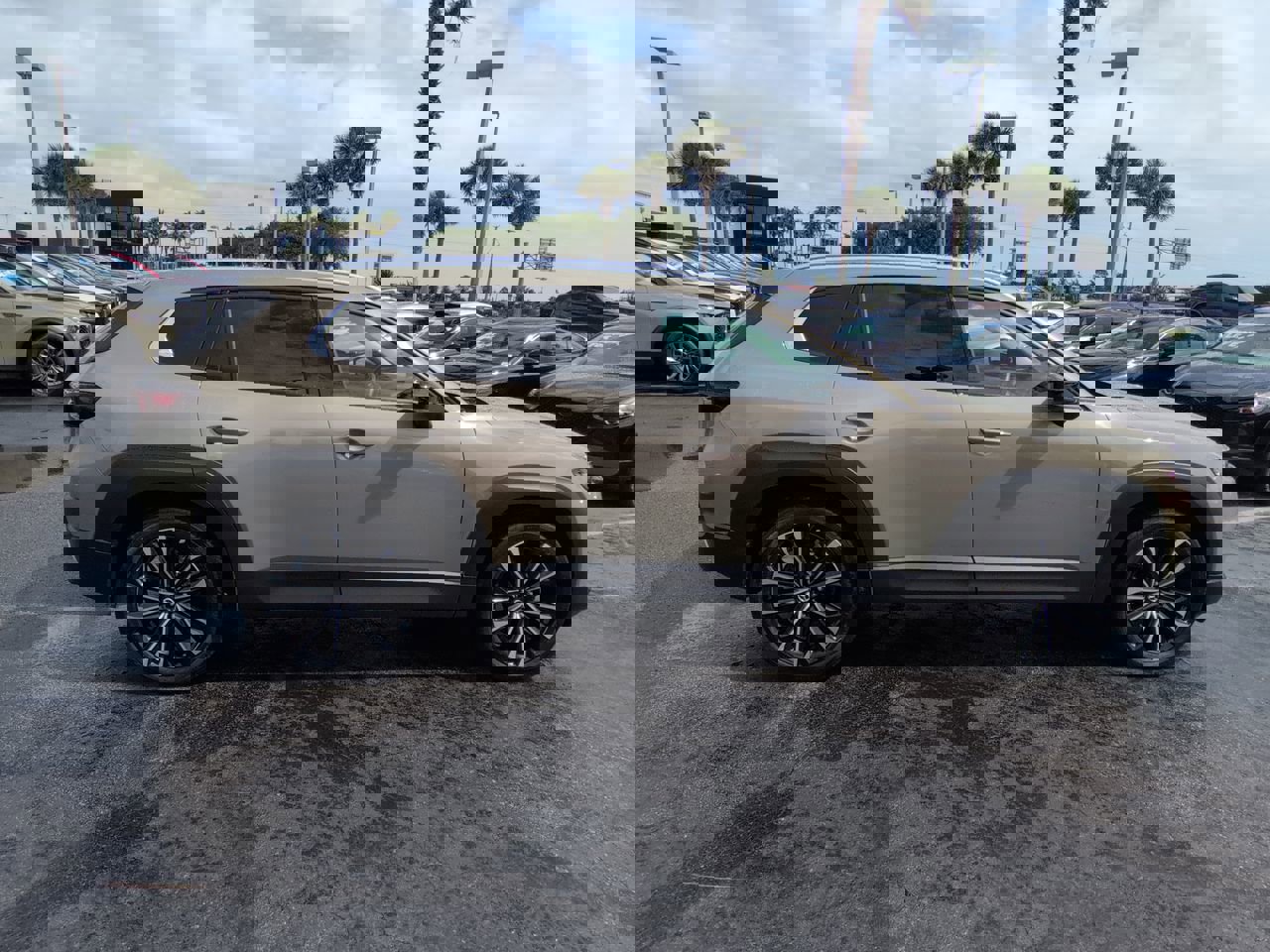 Used 2025 MAZDA CX-50 2.5 Turbo w/ Premium Plus Pkg AWD/4WD image 3