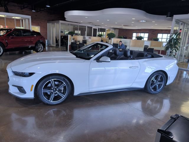 Used 2025 Ford Mustang Premium RWD image 5
