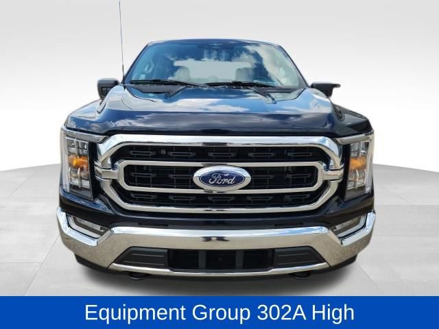 Used 2023 Ford F150 XLT w/ Equipment Group 302A High image 2